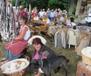 2017Transhumance63