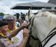 2017Transhumance85