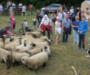 2017Transhumance90