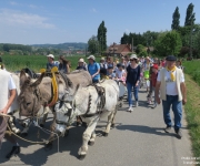 Transhumance 2018