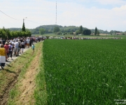 Transhumance 2018