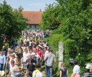 Ferme du manoir - Transhumance 2018