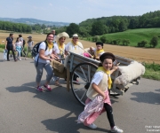 Transhumance 2018