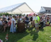 Plaine du Mont des Cats - Transhumance 2018