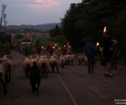 Descente aux flambeaux - Transhumance 2018