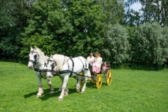 2019-06-transhumance06