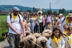 2019-06-transhumance17