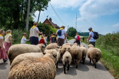 2019-06-transhumance18