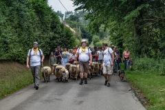 2019-06-transhumance19