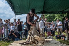 2019-06-transhumance35
