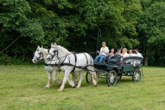 2019-06-transhumance36