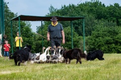 2019-06-transhumance43