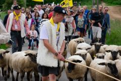 2022-05-transhumance20