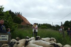 2022-05-transhumance22