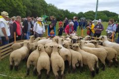 2022-05-transhumance51